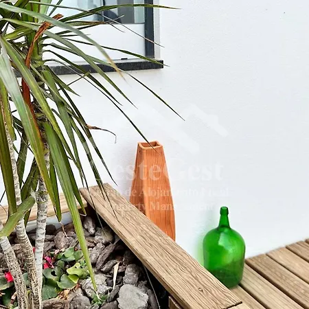 Casa Magnolia Matas (Lisbon)