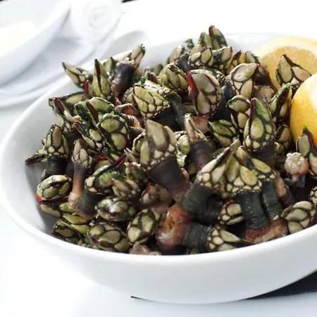 Casa Magnolia Βίλα Matas (Lisbon)